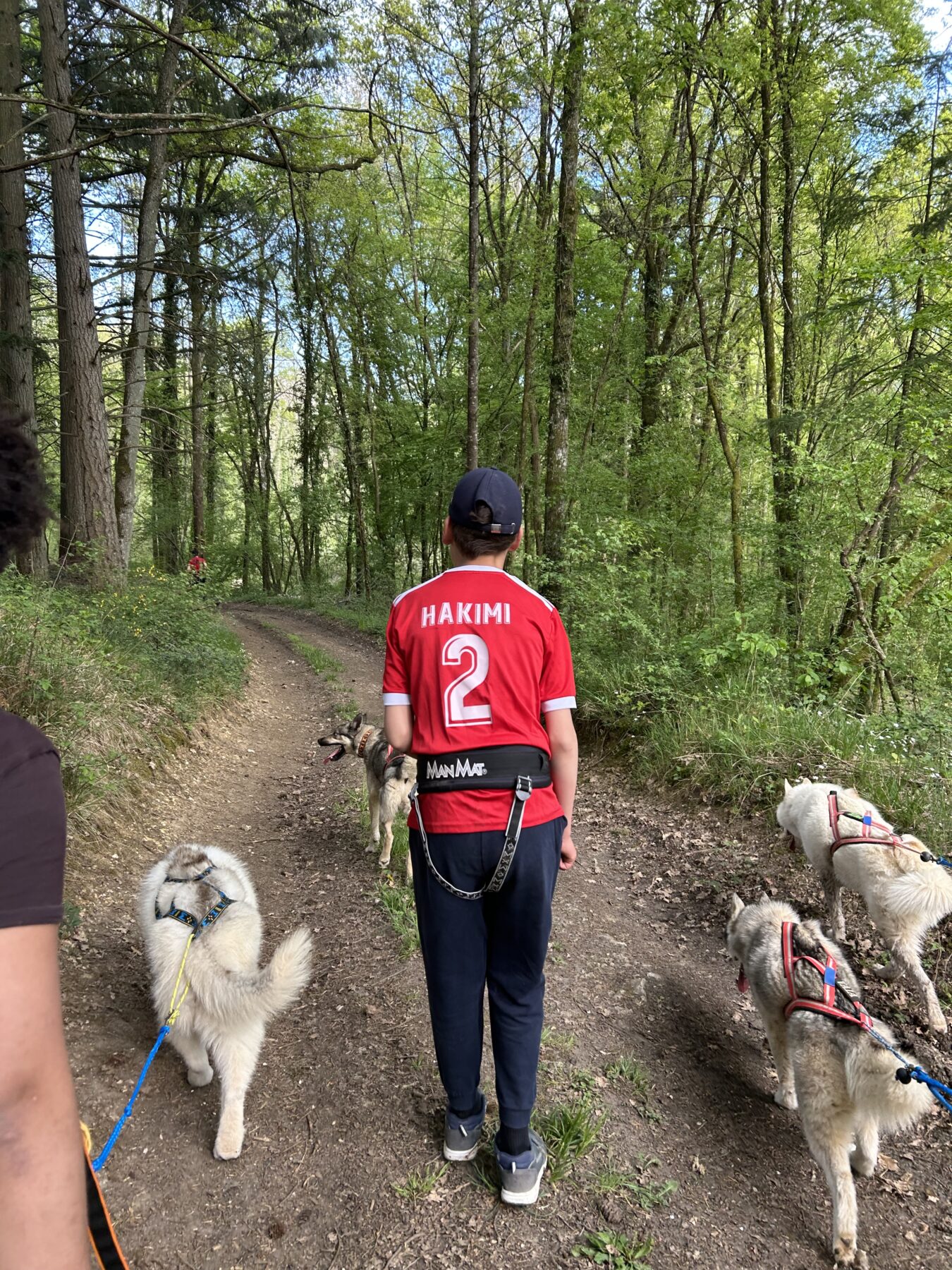 Description visuelle de l'image