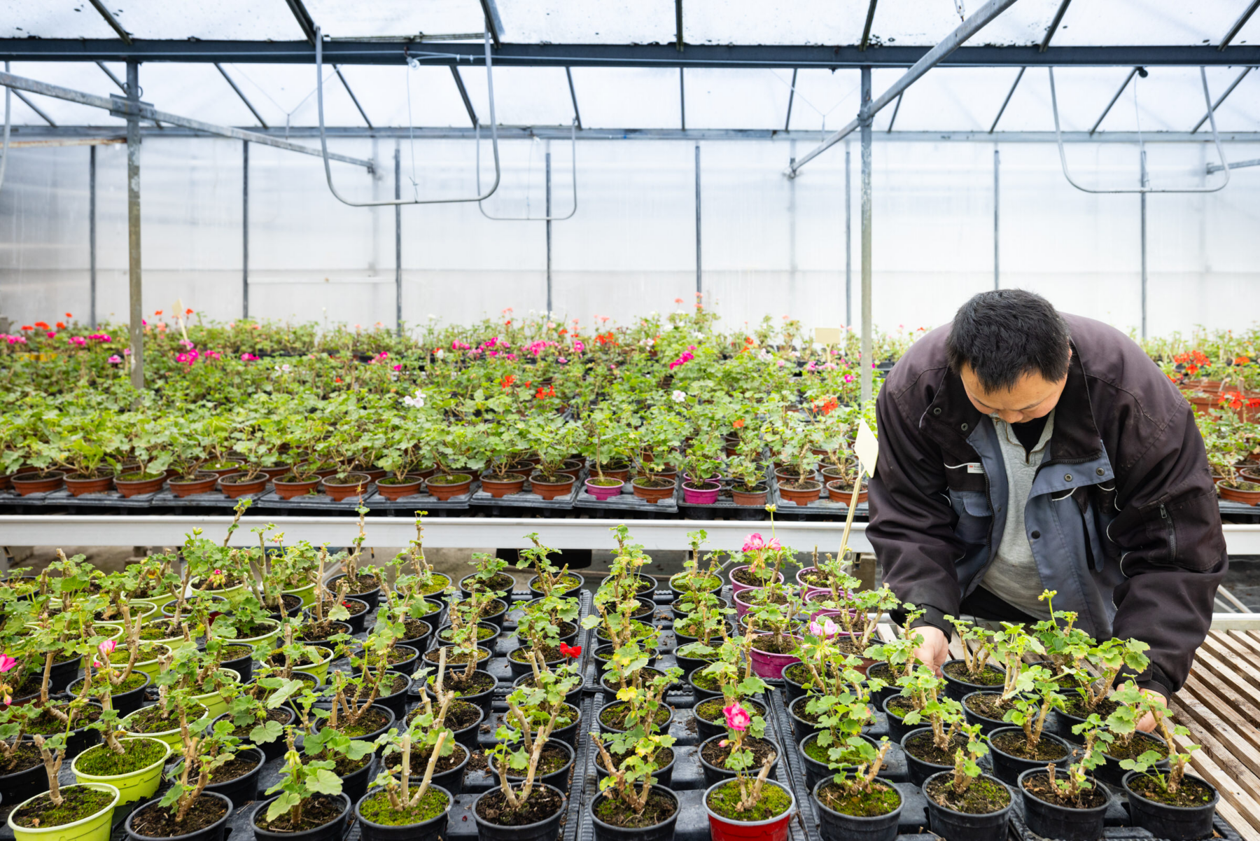 Description visuelle de l'image