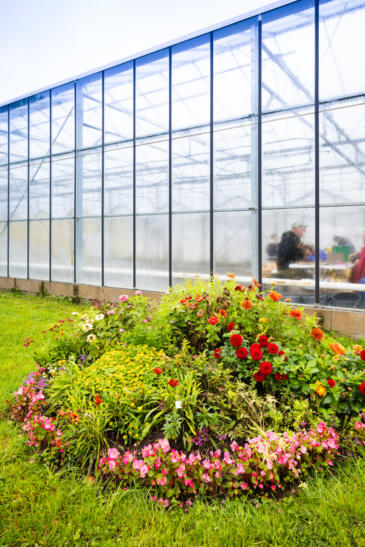 Description visuelle de l'image