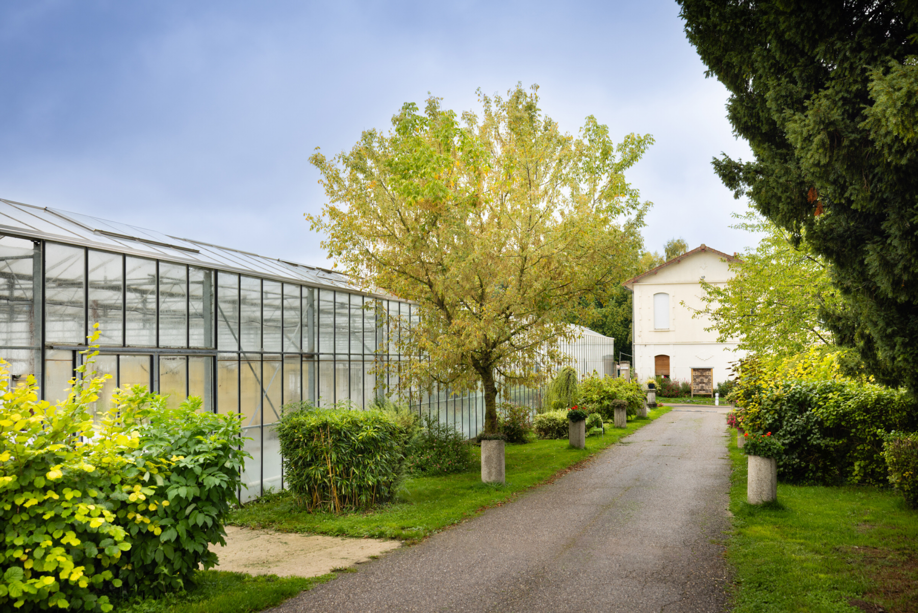 Description visuelle de l'image