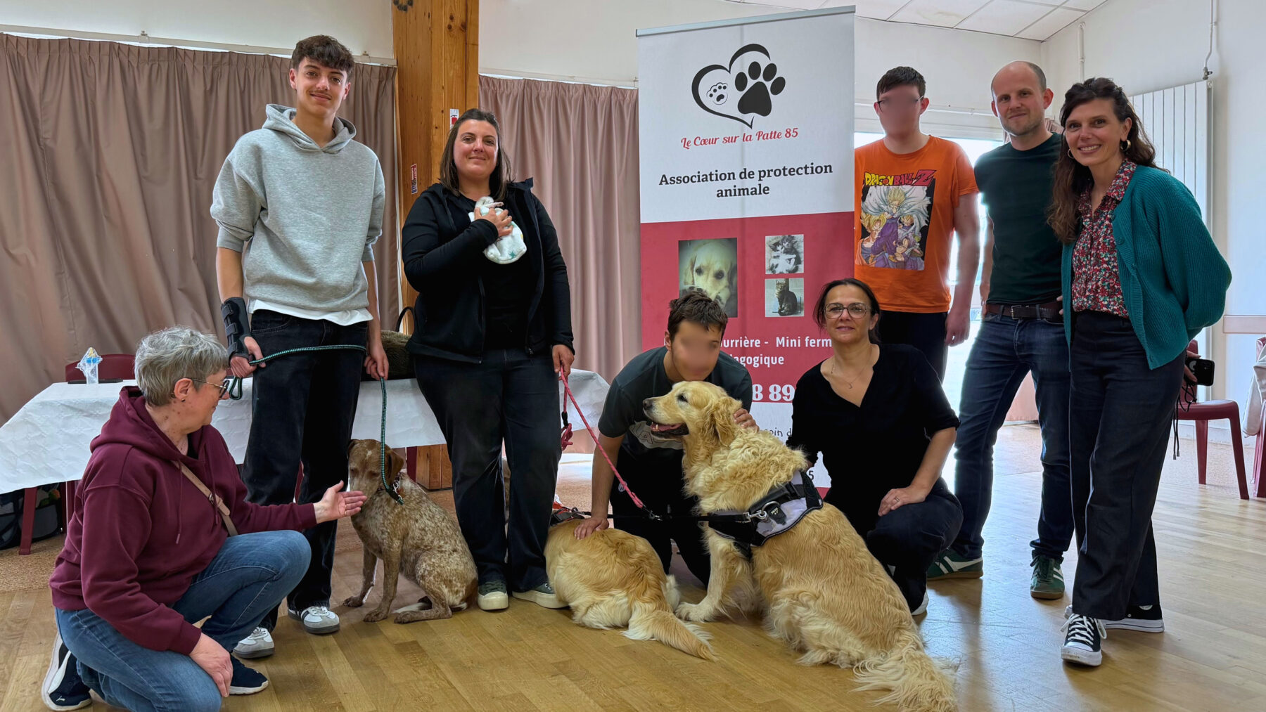 Description visuelle de l'image