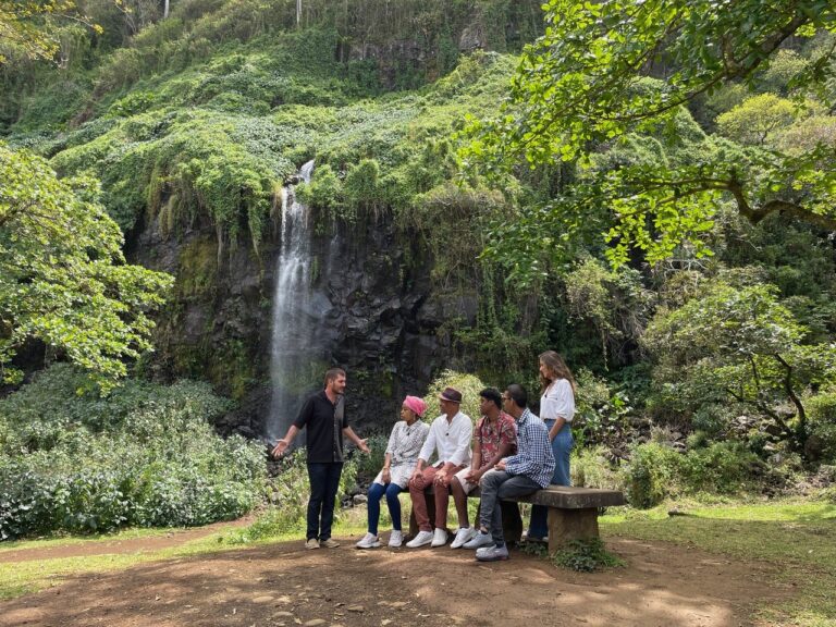 Description visuelle de l'image