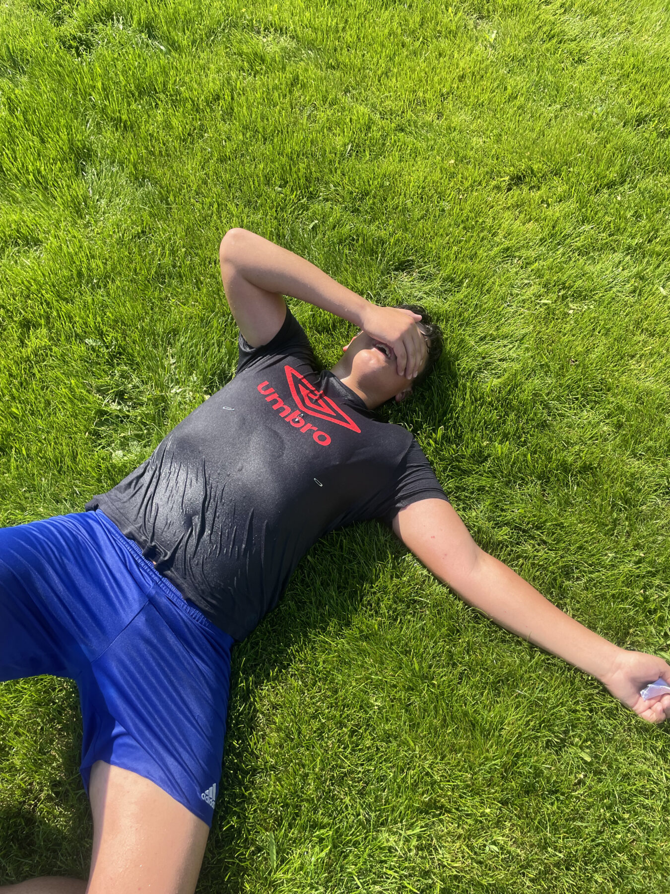 Description visuelle de l'image
