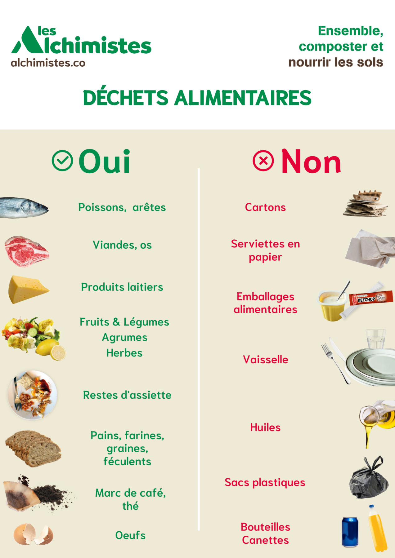 Description visuelle de l'image